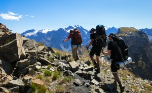 Montée face au Pelvoux